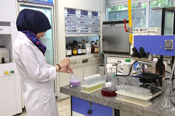 صورة مصغّرة