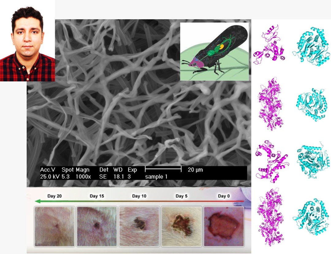 صورة مصغّرة